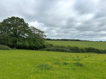 View from the camping field