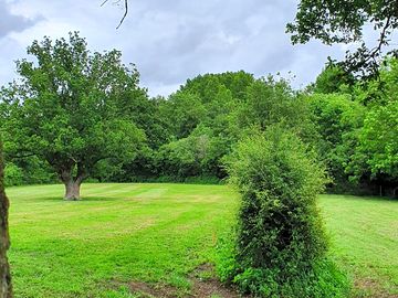 Tree-dotted site