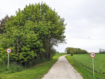 Blackmoor lane leading to the campsite entrance