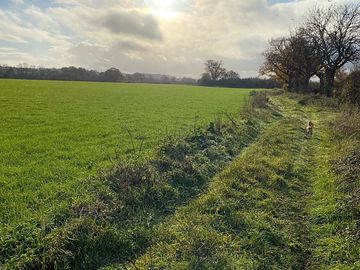 Warwickshire countryside (added by manager 26 dec 2022)