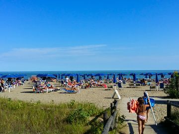 Beach area