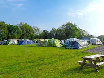 View from the pitches