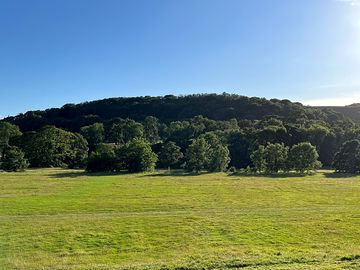 Grassy pitches