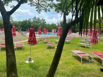 Outdoor swimming pool with sun loungers and umbrellas