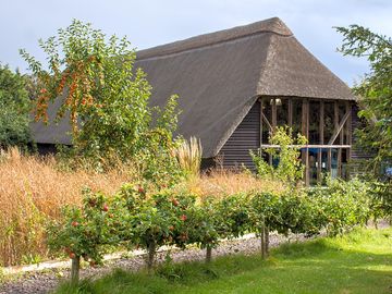 Barn garden