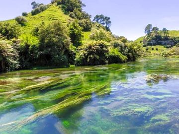 Blue springs walking trail