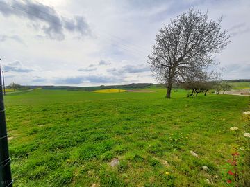 Grass pitch (added by manager 03 may 2023)