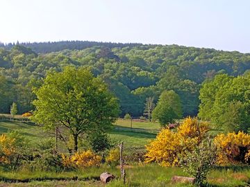 View from the site