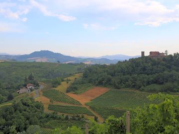 Vineyards and mountains