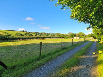 Drive to the pitches