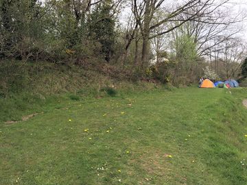 Small tents pitch, less than a minute's walk from the pub