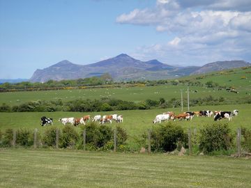 Mountains in the distance