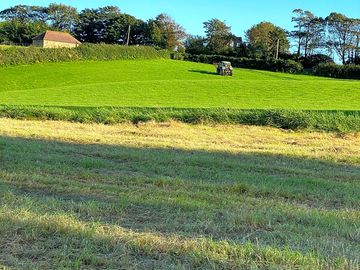 Camping fields at pett camping