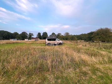 Site
