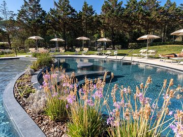 Pool with loungers