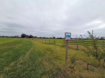 Grass pitches