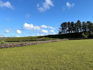 Camping field