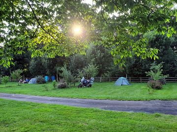 Grass pitches
