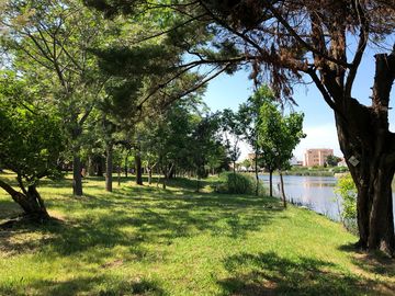 Pitches next to the lake