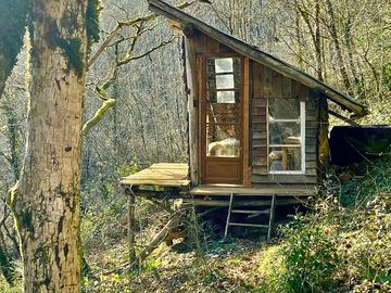 Sanglier cabin.small but beautiful and quiet.