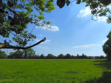 Space to relax in the five-acre meadow (added by manager 03 jun 2018)