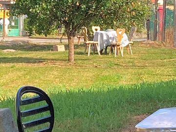 Picnic tables