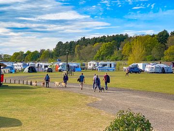 Walking on to the caravan park past reception from kings forest