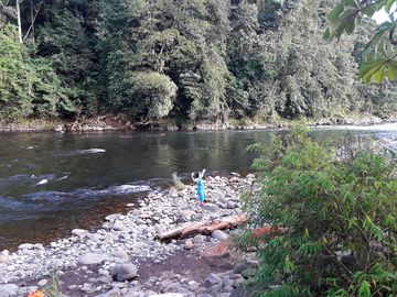 On the banks of the sarapiquí river (added by manager 23 jan 2019)