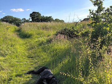 Public footpath running through the campsite