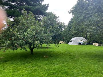 Drive through the orchard to the campsite (added by manager 01 aug 2023)