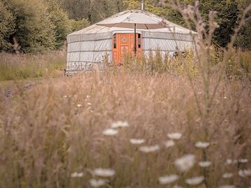 The yurt is private and peaceful, tucked away in its own meadow