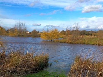 View over the fishing pond