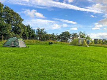 Visitor image of pitches on site