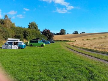 A clutch of vws enjoying the post-harvest view (added by manager 10 may 2018)