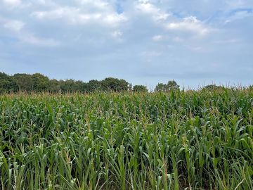 Farmland scenery