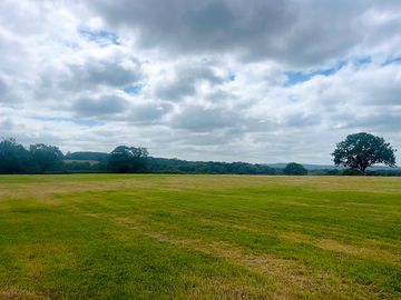 Grass pitches