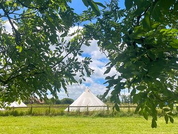 Bell tent in camping field