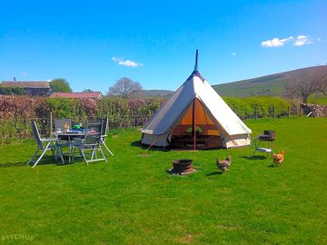 Tipi, table, chairs and friendly chickens
