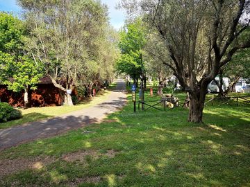 Pitches among the trees