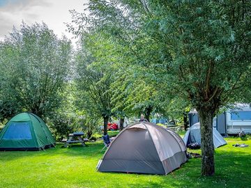 Tents among the trees (added by manager 26 mar 2024)