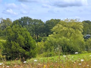 Carp and roach huts on bottom fishing lake (added by manager 26 aug 2023)