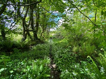 Lovely walk down towards readymoney