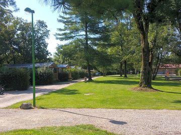 View of the site