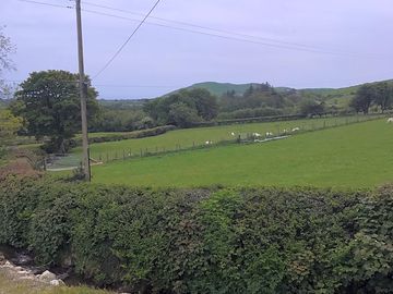 Plenty of greenery