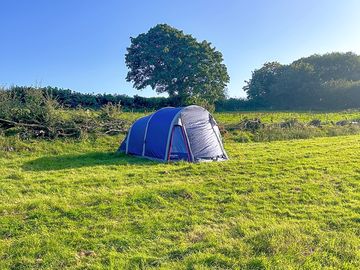 Tent pitch