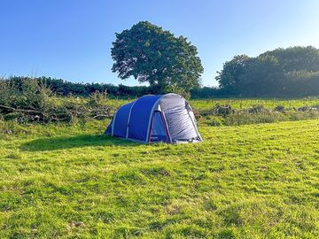 Tent pitch (added by manager 24 aug 2023)