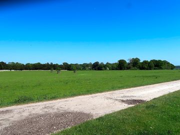 Flat grass field with horse lorries welcome