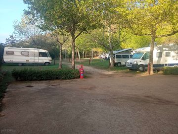 Grass pitches