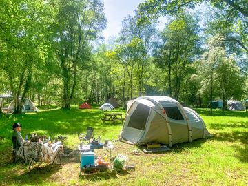 Woodland camping