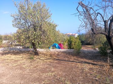 One of the pitches